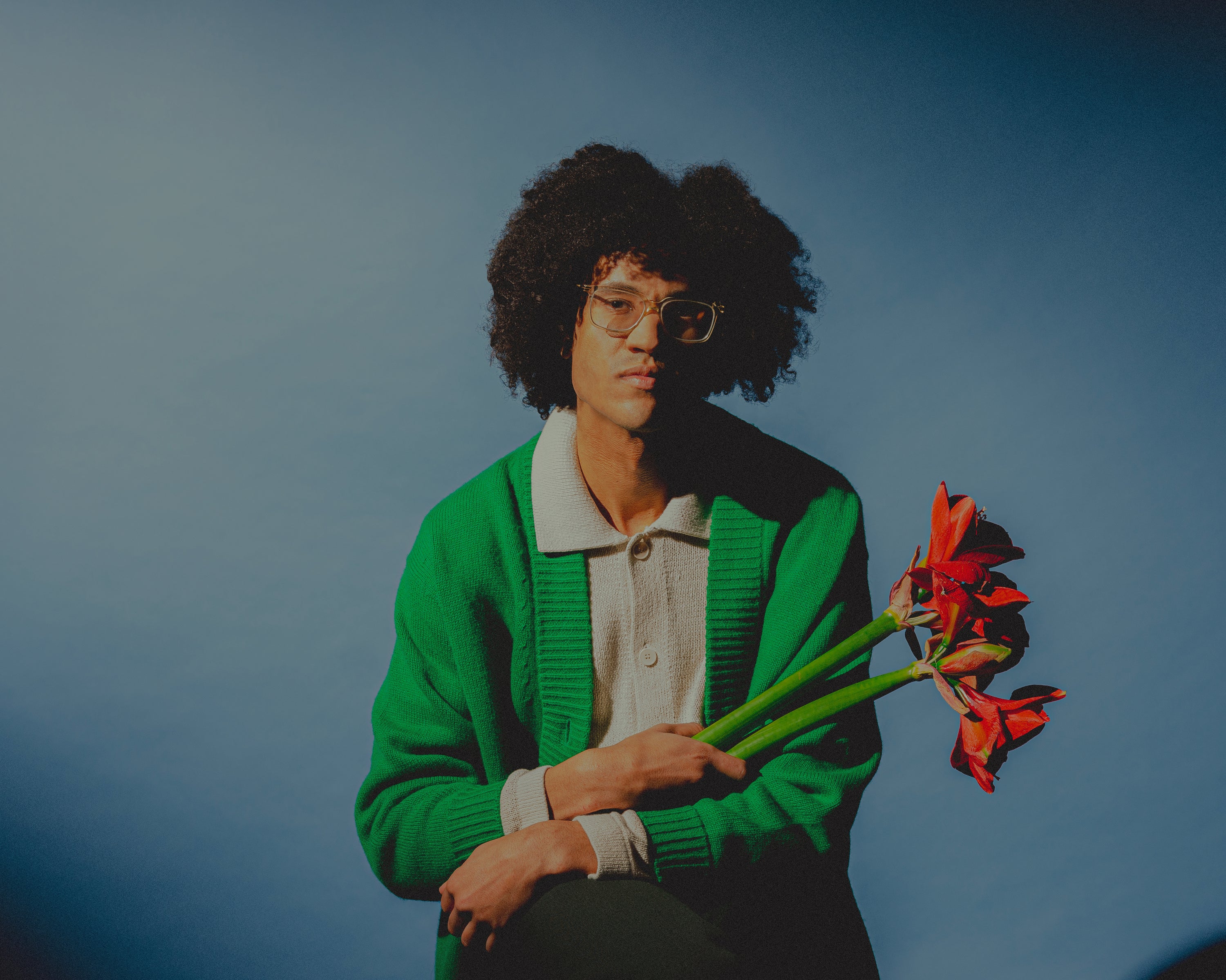 Artistslipp: Beharie