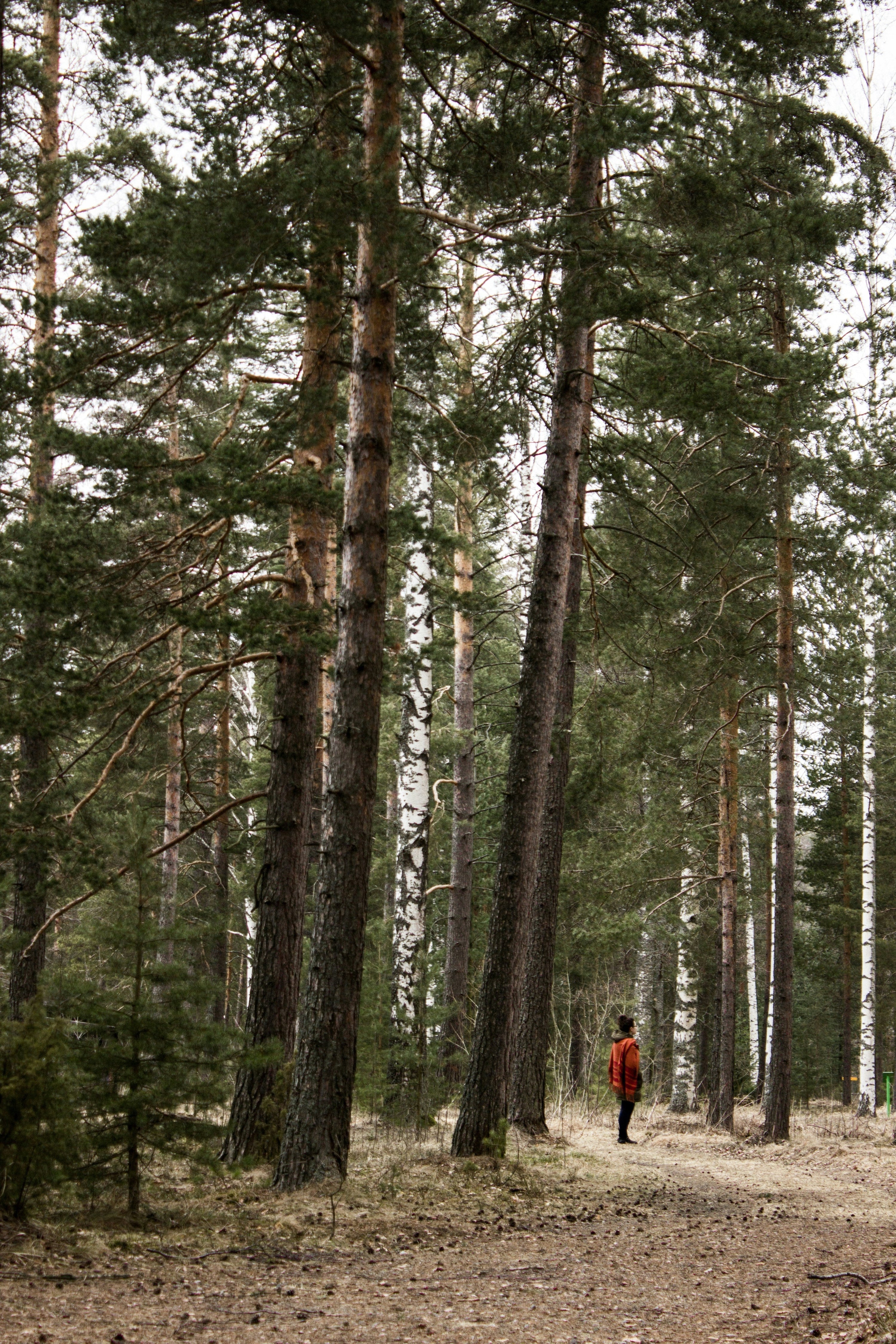 Årsmøte Støttegruppa 25 Juni og sakspapirer.